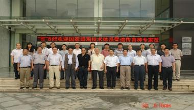 聖迪樂村承(cheng)辦(bàn)蛋雞行業盛(sheng)會